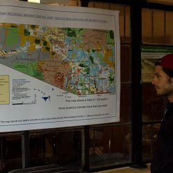 Gael Garcia Bernal looks at a map depicting the locations of the remains of migrants found in the desert (photo by Marc Silver)